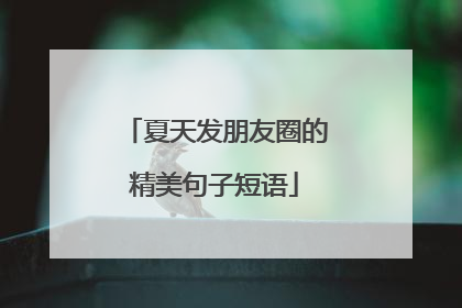 夏天发朋友圈的精美句子短语