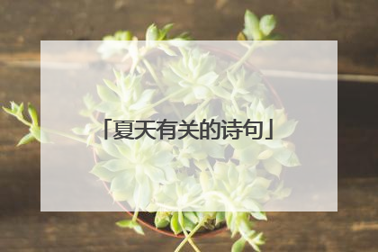 夏天有关的诗句