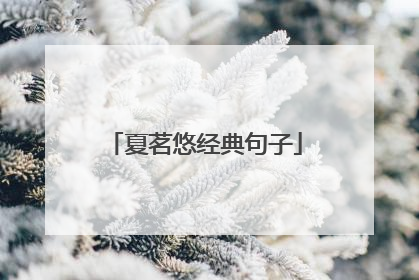夏茗悠经典句子