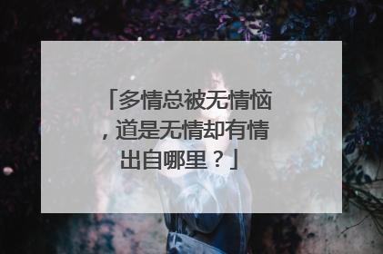 多情总被无情恼,道是无情却有情出自哪里?