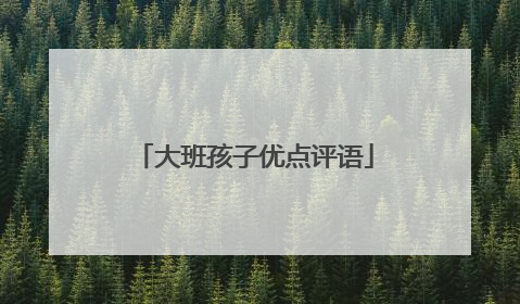 大班孩子优点评语