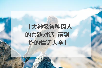 大神级各种撩人的套路对话 萌到炸的情话大全