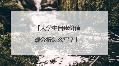 大学生自我价值观分析怎么写?