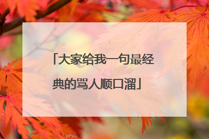 大家给我一句最经典的骂人顺口溜