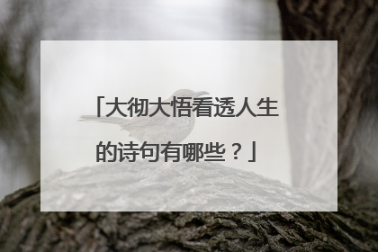 大彻大悟看透人生的诗句有哪些?