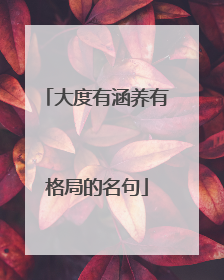 大度有涵养有格局的名句