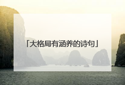 大格局有涵养的诗句
