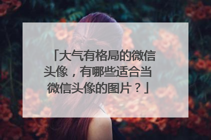 大气有格局的微信头像,有哪些适合当微信头像的图片?