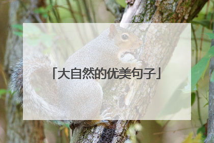 大自然的优美句子