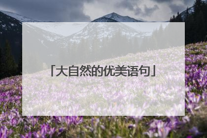 大自然的优美语句