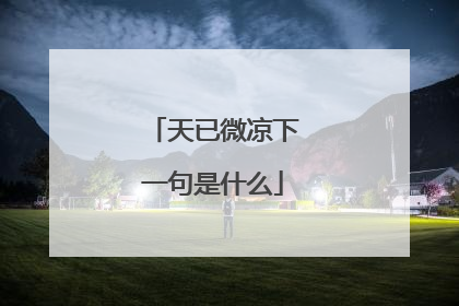 天已微凉下一句是什么