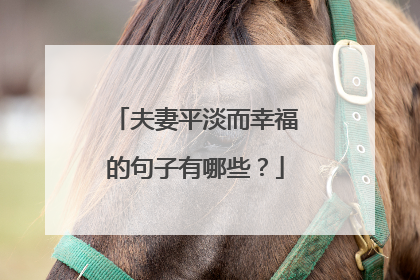 夫妻平淡而幸福的句子有哪些?
