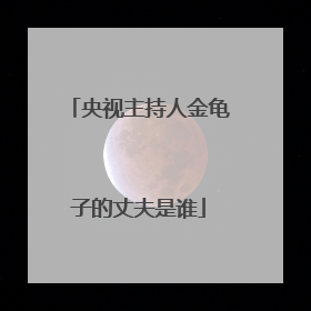 央视主持人金龟子的丈夫是谁
