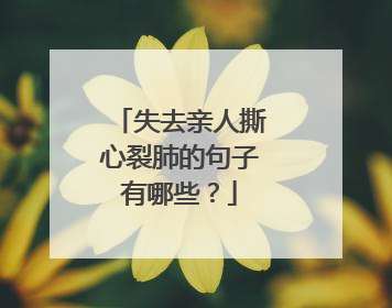 失去亲人撕心裂肺的句子有哪些?