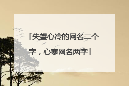 失望心冷的网名二个字,心寒网名两字