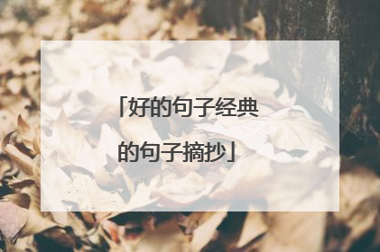 好的句子经典的句子摘抄