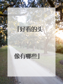好看的头像有哪些