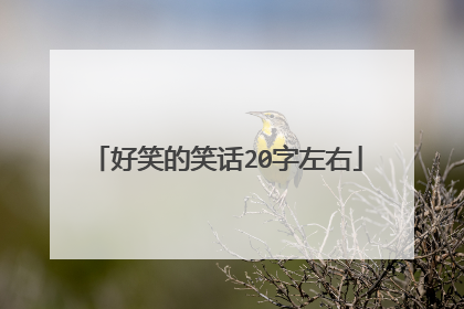 好笑的笑话20字左右