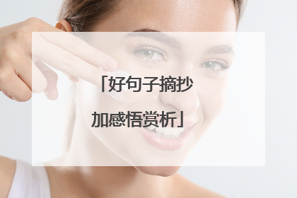 好句子摘抄加感悟赏析