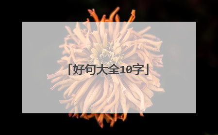 好句大全10字