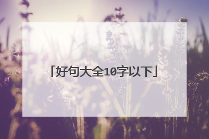 好句大全10字以下