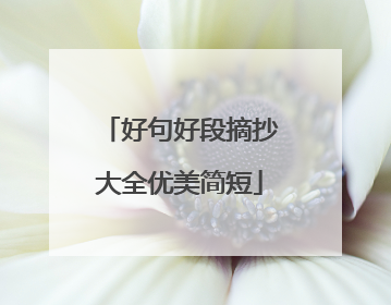 好句好段摘抄大全优美简短