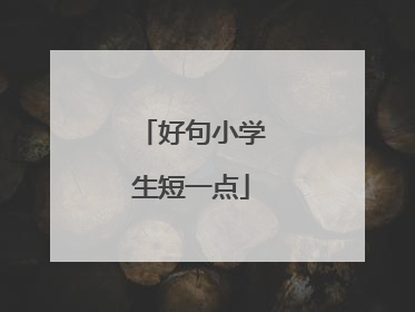 好句小学生短一点