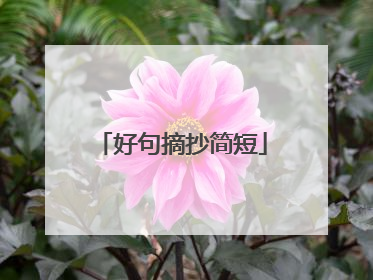 好句摘抄简短