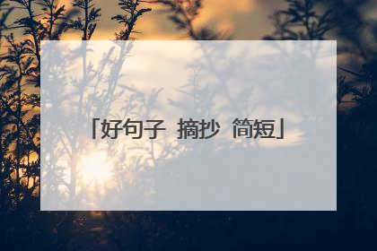 好句子 摘抄 简短