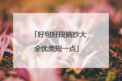 好句好段摘抄大全优美短一点