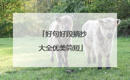 好句好段摘抄大全优美简短