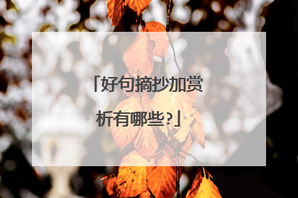 好句摘抄加赏析有哪些?