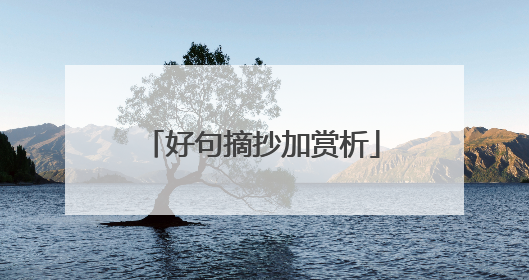 好句摘抄加赏析