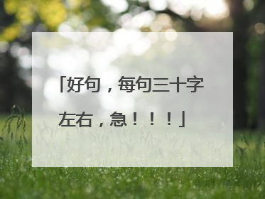 好句,每句三十字左右,急!!!