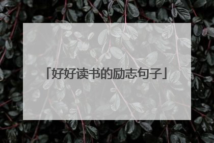 好好读书的励志句子