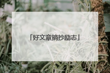 好文章摘抄励志