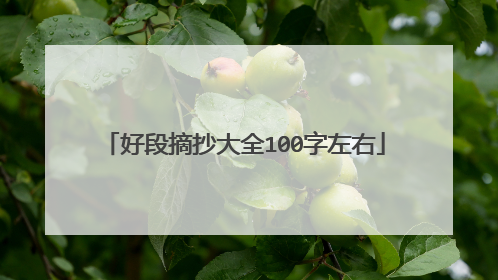好段摘抄大全100字左右