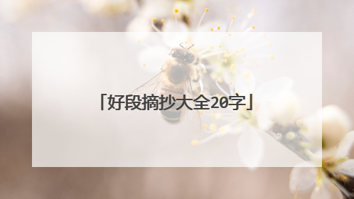 好段摘抄大全20字