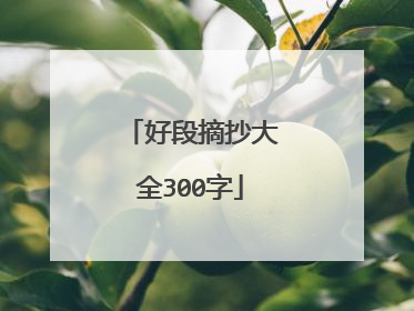 好段摘抄大全300字