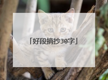 好段摘抄30字