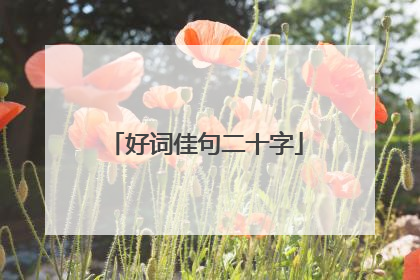 好词佳句二十字