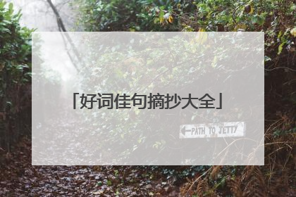 好词佳句摘抄大全