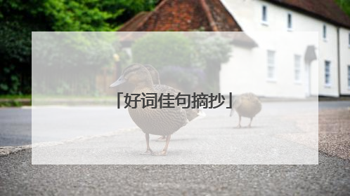 好词佳句摘抄