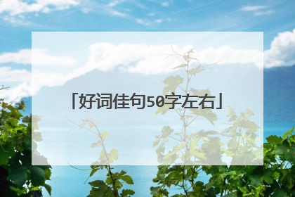 好词佳句50字左右
