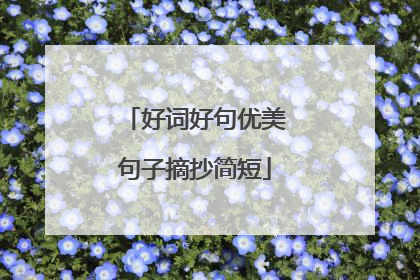 好词好句优美句子摘抄简短