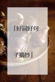 好词好句子摘抄