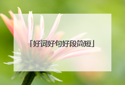 好词好句好段简短