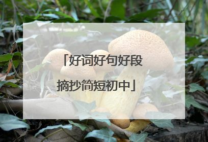 好词好句好段摘抄简短初中