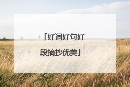 好词好句好段摘抄优美