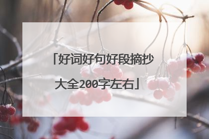 好词好句好段摘抄大全200字左右
